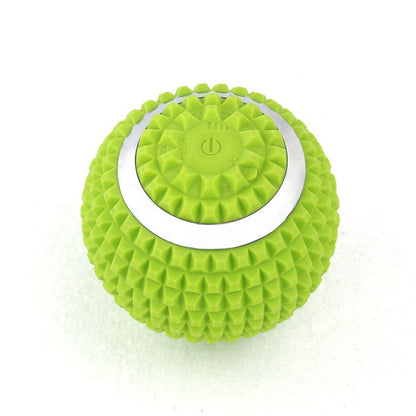 EliteRecoveryHub's VibeSphere - Advanced Four-Speed Electric Recovery Ball